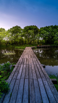 The wooden bridge over xixi in the misty rain is still