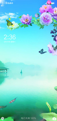 西湖  动态