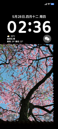 透明ap景深花