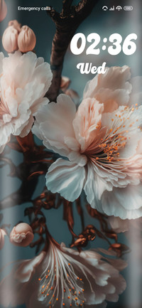 Blossom Sakura