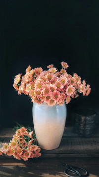 Flowers that bloom all year round 21