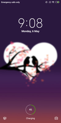 Love Birds LOVE 