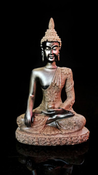 partha2