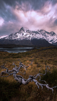 Outdoor nature in chile
