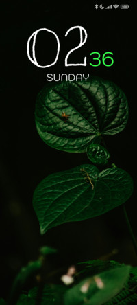 Leaf Glow