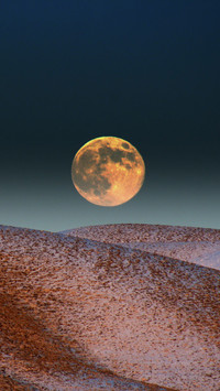 The disappearance of global warming is not a good thing 05