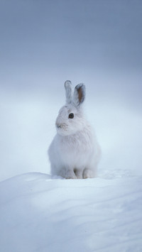 Cute thing you really dont mind being cold