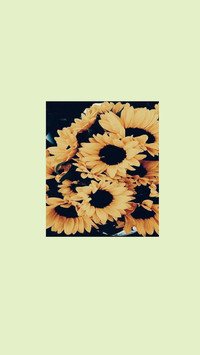 CFFlower