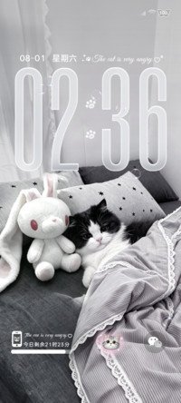 ins重感瞌睡小猫