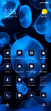 Jellyfish