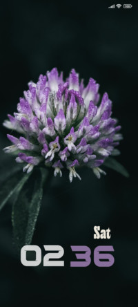 Dark Flower