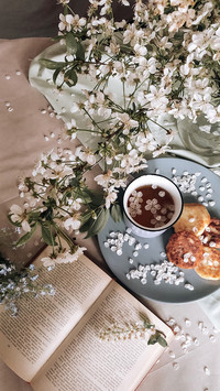 Exquisite Dessert-PAIXIN