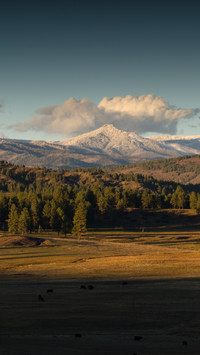 Mountain and rural scenery