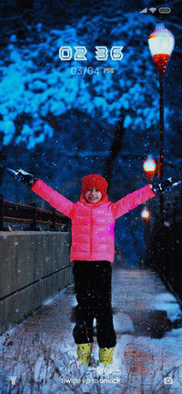 Snow Fall