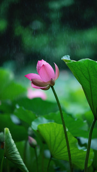 黄梅时节话防“霉”
