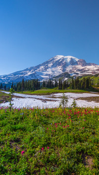 Reflection lake trail, Mount Rainier-Summer