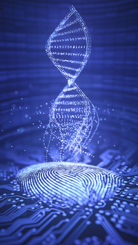 DNA structure 58