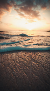 Nature B6 (33)