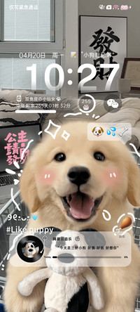 治愈发财金毛