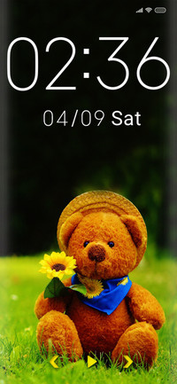 Teddy Fi