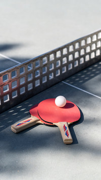 Important techniques of table tennis