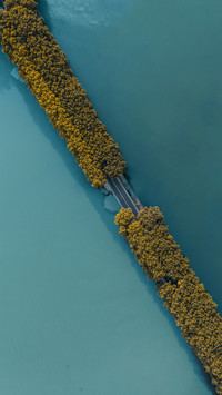武汉东湖绝景