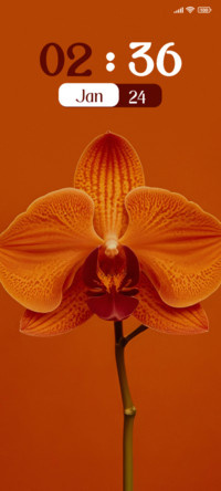 Orchid