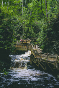 bridge-cascade-daylight-1293423