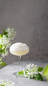 Sparkling Wine Ice Cream Floats Cocktail