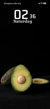 Avocado Fresh