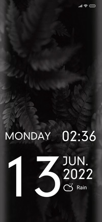 Monochromatic 13