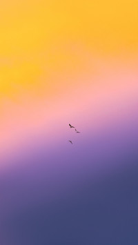 如何拍摄“最美夕阳”？