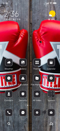 Boxing