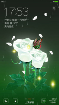 白玫瑰【下雨特效+3D重力感应蝴蝶】