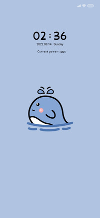 small sea pig