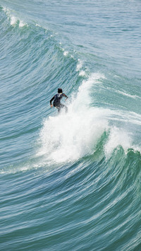 Brave Surfer