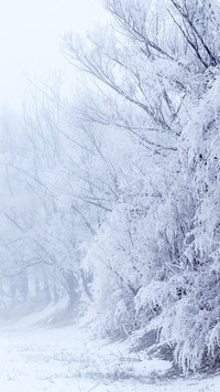 邂逅冬日雪景