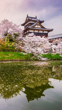 Japanese architecture
