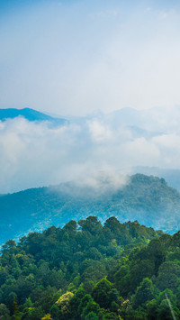 Clouds and mists entwine layer upon layer of green