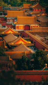 Autumn light in the Forbidden City at dawn