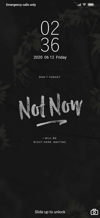 Night Flower v10.