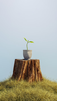 Creative wallpapers