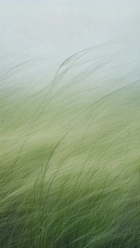 Letter from the Wind