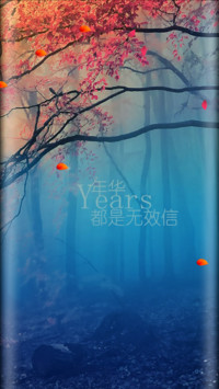 嘉年华