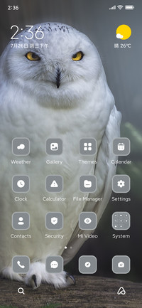 Owl