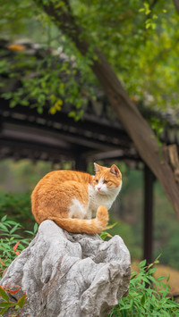 人 别让我在秋天等太久