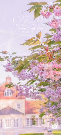 景深 盼春樱花