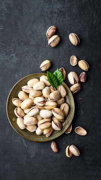 Nuts are s08