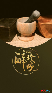 醉玲珑10