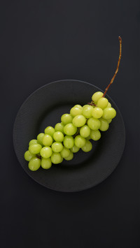 What kind of grapes